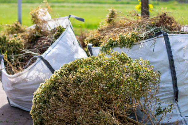 Best Residential Junk Removal  in Scobey, MT